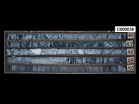 登錄號:C000038藏品圖，第1張