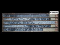 登錄號:C000040藏品圖，第1張