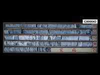 登錄號:C000043藏品圖，第1張