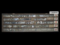 登錄號:C000045藏品圖，第1張