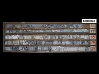 登錄號:C000047藏品圖，第1張