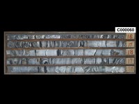 登錄號:C000060藏品圖，第1張