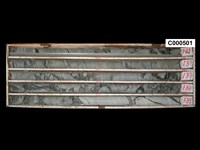 登錄號:C000501藏品圖，第1張