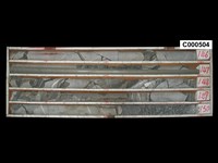 登錄號:C000504藏品圖，第1張