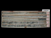 登錄號:C000507藏品圖，第1張