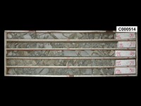 登錄號:C000514藏品圖，第1張