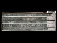 登錄號:C000516藏品圖，第1張