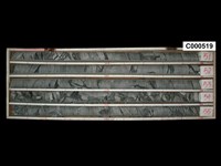 登錄號:C000519藏品圖，第1張