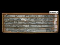 登錄號:C000523藏品圖，第1張