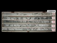 登錄號:C000524藏品圖，第1張