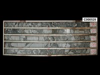 登錄號:C000528藏品圖，第1張