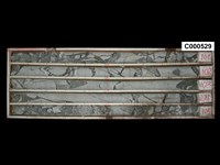 登錄號:C000529藏品圖，第1張