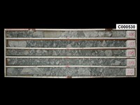 登錄號:C000530藏品圖，第1張