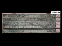 登錄號:C000534藏品圖，第1張