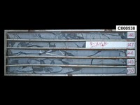 登錄號:C000538藏品圖，第1張