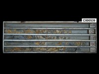 登錄號:C000539藏品圖，第1張