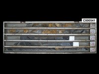 登錄號:C000541藏品圖，第1張