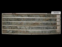 登錄號:C000561藏品圖，第1張