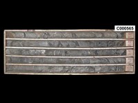 登錄號:C000565藏品圖，第1張