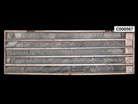 登錄號:C000567藏品圖，第1張