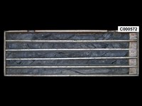 登錄號:C000572藏品圖，第1張