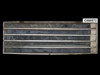 登錄號:C000573藏品圖，第1張