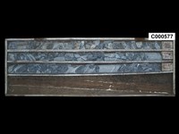 登錄號:C000577藏品圖，第1張