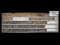 登錄號:C000579藏品圖，第1張