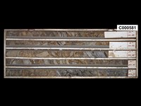 登錄號:C000581藏品圖，第1張