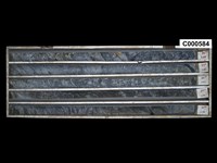 登錄號:C000584藏品圖，第1張