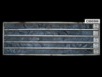 登錄號:C000586藏品圖，第1張