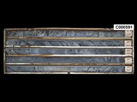 登錄號:C000591藏品圖，第1張