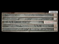 登錄號:C000598藏品圖，第1張