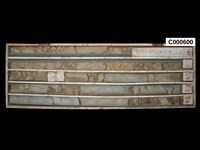 登錄號:C000600藏品圖，第1張