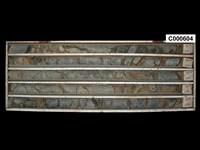 登錄號:C000604藏品圖，第1張