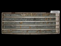 登錄號:C000605藏品圖，第1張