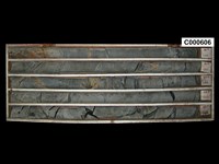 登錄號:C000606藏品圖，第1張