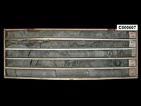 登錄號:C000607藏品圖，第1張