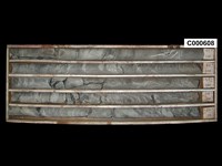 登錄號:C000608藏品圖，第1張