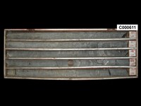 登錄號:C000611藏品圖，第1張