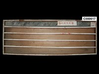 登錄號:C000617藏品圖，第1張