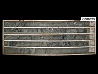 登錄號:C000623藏品圖，第1張