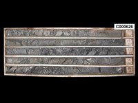 登錄號:C000626藏品圖，第1張