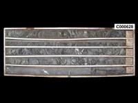 登錄號:C000628藏品圖，第1張