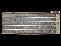 登錄號:C000630藏品圖，第1張