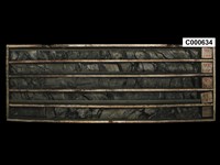 登錄號:C000634藏品圖，第1張