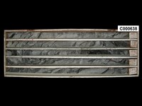 登錄號:C000638藏品圖，第1張