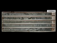 登錄號:C000642藏品圖，第1張