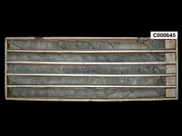 登錄號:C000645藏品圖，第1張