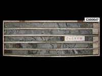 登錄號:C000647藏品圖，第1張